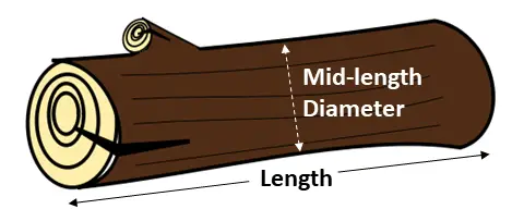 mid length diameter diagram